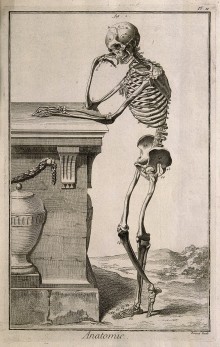 Illustration from Anatomie, by Juan Valverde de Hamusco (Antwerp, 1568). Source: Wellcome Collection.