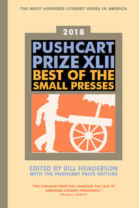 2018 Pushcart Prize Anthology