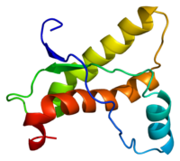 Structure of the PRNP protein. Illustration: Emw. Source: Wikimedia Commons.